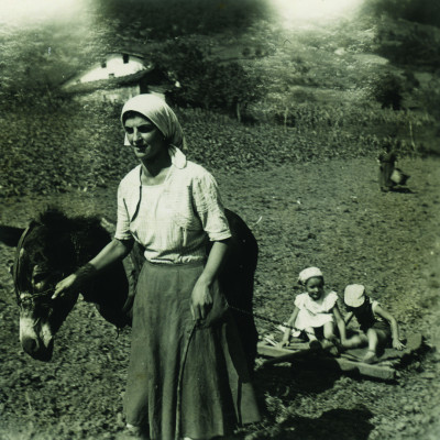 Portada Arregi Campo